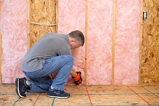 Best Insulation for Existing Homes  in Cape Carteret, NC